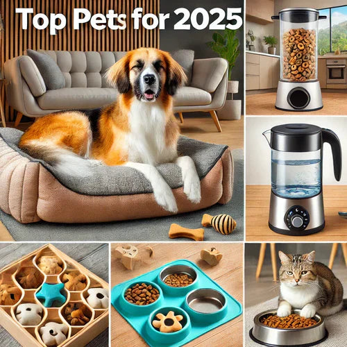 Top 10 Must-Have Accessories for Pet Owners in 2025