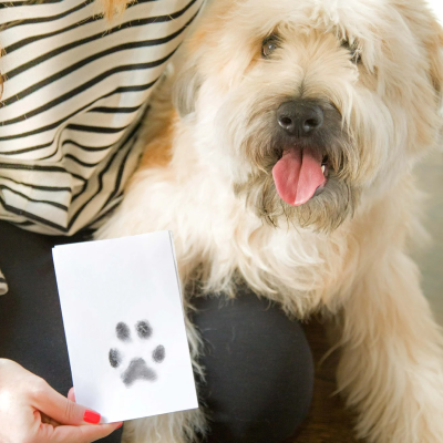 Pawfect Prints - Capture the love, cherish the moment!