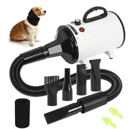 2800W Professional Pet Hair Dryer – Fast, Quiet Grooming Blower with Stepless Speed & Warm Wind