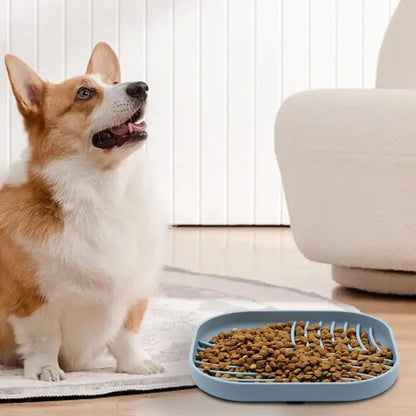 Slow Feeder Dog Bowls with Lick Mat