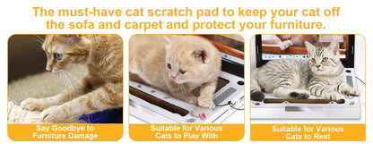 Cat Scratching Board Laptop