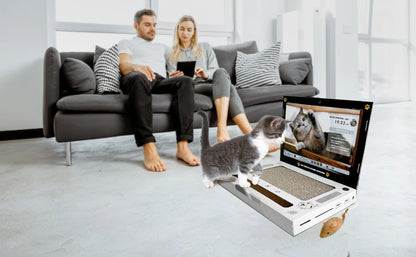 Cat Scratching Board Laptop