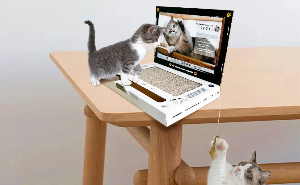 Cat Scratching Board Laptop