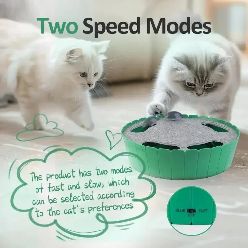 Motion Cat Toy with Running Mouse