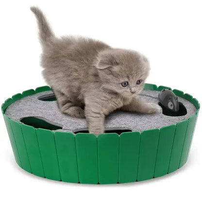 Motion Cat Toy with Running Mouse