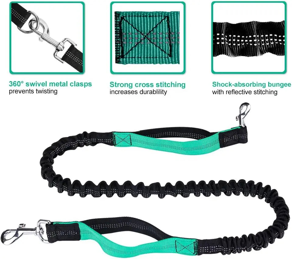 Hands-Free Dog Leash for Running, Walking & Training