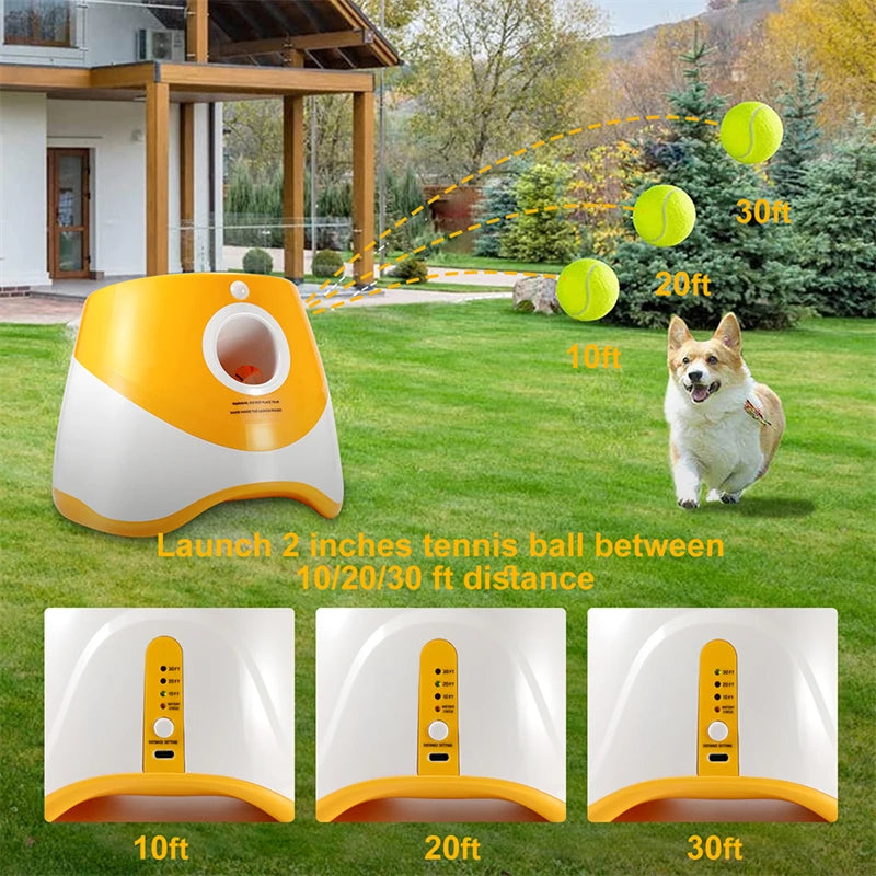 Rechargable Automatic Launcher Pet Dogs Chase Toy