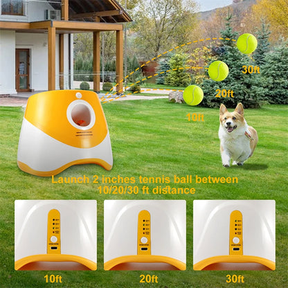 Rechargable Automatic Launcher Pet Dogs Chase Toy