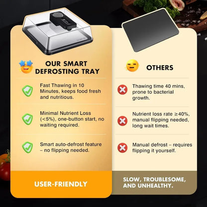 Rapid Defrosting Tray for Frozen Meat, Airflow Technology Thawing Mat Black