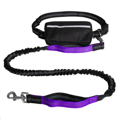 Hands-Free Dog Leash for Running, Walking & Training