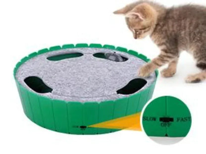 Motion Cat Toy with Running Mouse