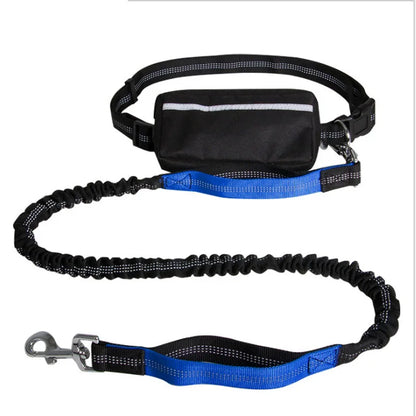 Hands-Free Dog Leash for Running, Walking & Training