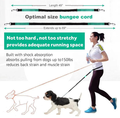 Hands-Free Dog Leash for Running, Walking & Training