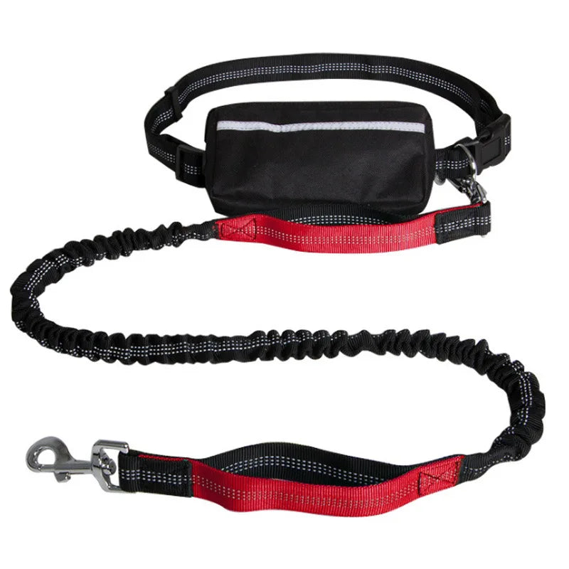 Hands-Free Dog Leash for Running, Walking & Training