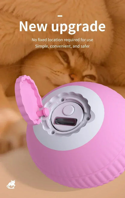 The Ultimate Interactive Toy