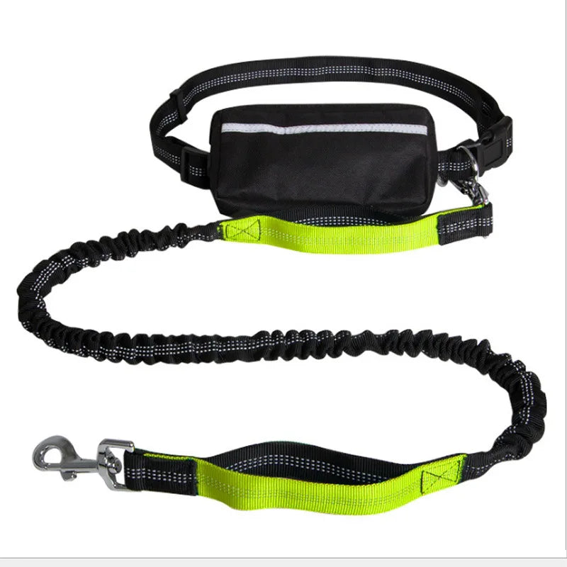 Hands-Free Dog Leash for Running, Walking & Training