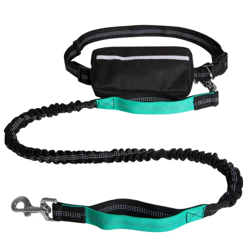 Hands-Free Dog Leash for Running, Walking & Training