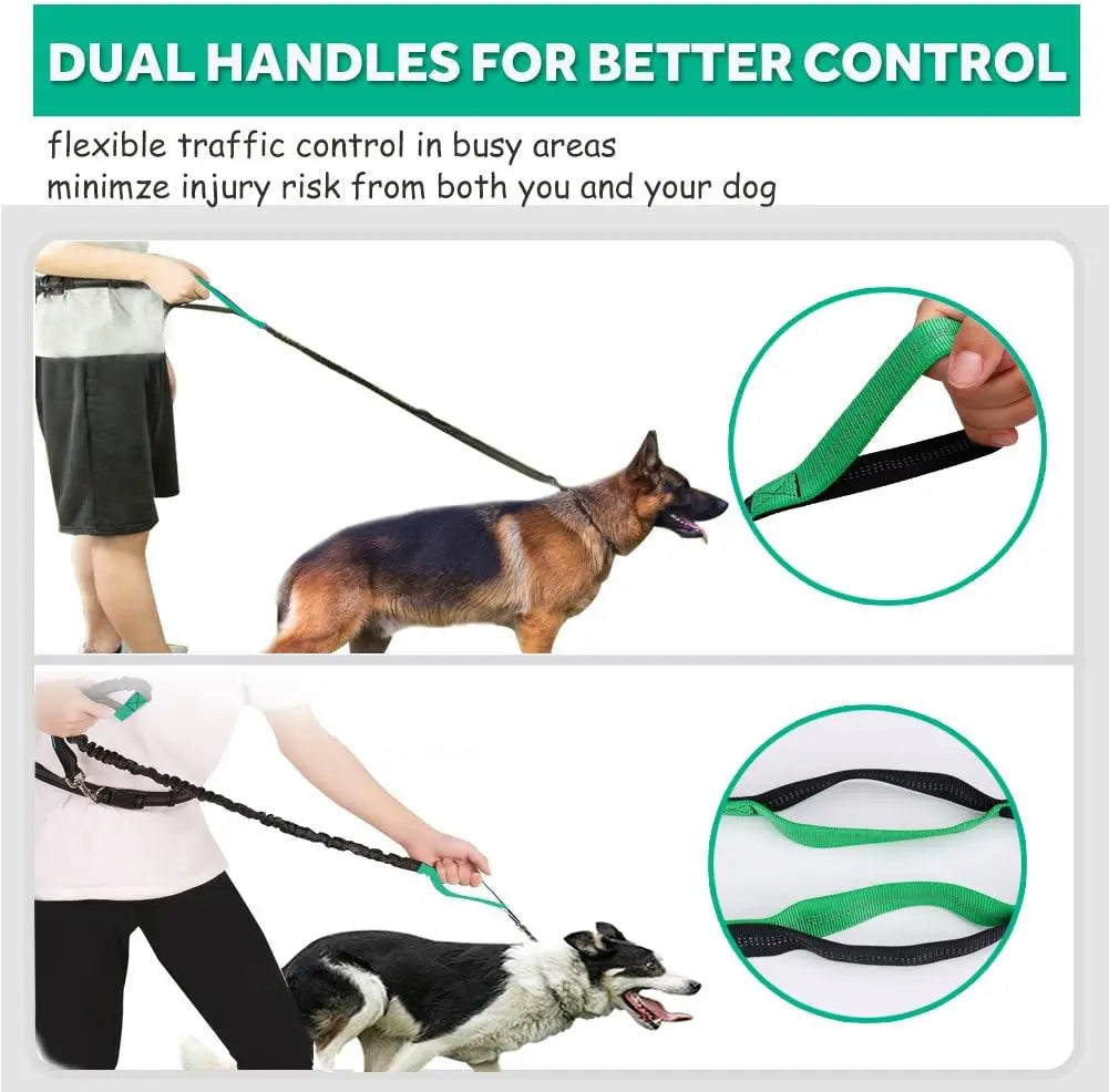 Hands-Free Dog Leash for Running, Walking & Training