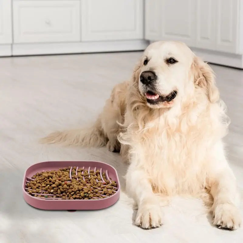 Slow Feeder Dog Bowls with Lick Mat