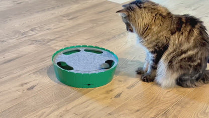 Motion Cat Toy with Running Mouse